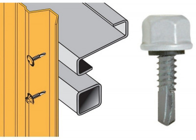 Vis Têtalu P5 Ral 9010 6,3 x 25 mm blister/25 FAYNOT