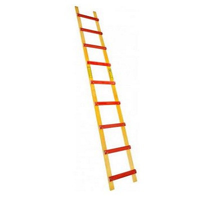 Échelle de toit bois écartement 250 x 3000 mm CENTAURE / CDH GROUP