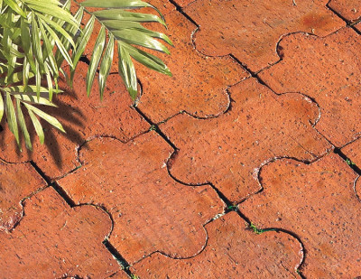 Pavés Papillon Obscurs Pleins 19 x 13,1 x 5 cm - RAIRIES MONTRIEUX