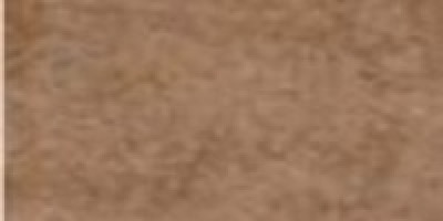 Revêtement de sols Transit+ U2SP3 Strada chamois 0287 rouleau 30 x 2 m GERFLOR