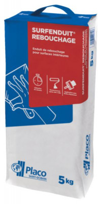 Enduit en poudre Surfenduit Rebouchage sac de 5 kg PLACOPLATRE