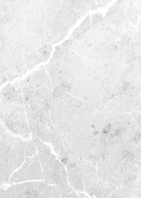 Panneau mural en alu-composite aspect aragon gris surface brillant 1000 x 2550 mm épaisseur 3 mm ROTH
